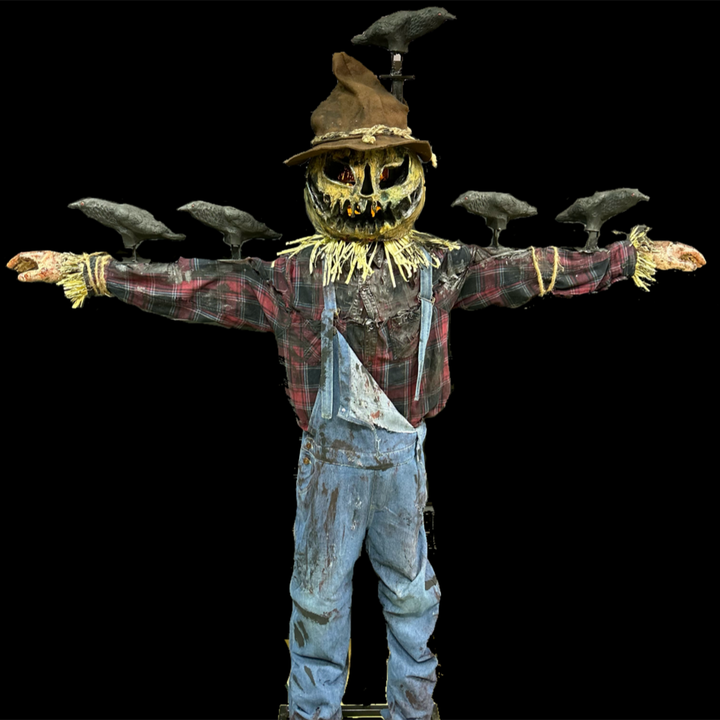 Down The Crow Interactive Game