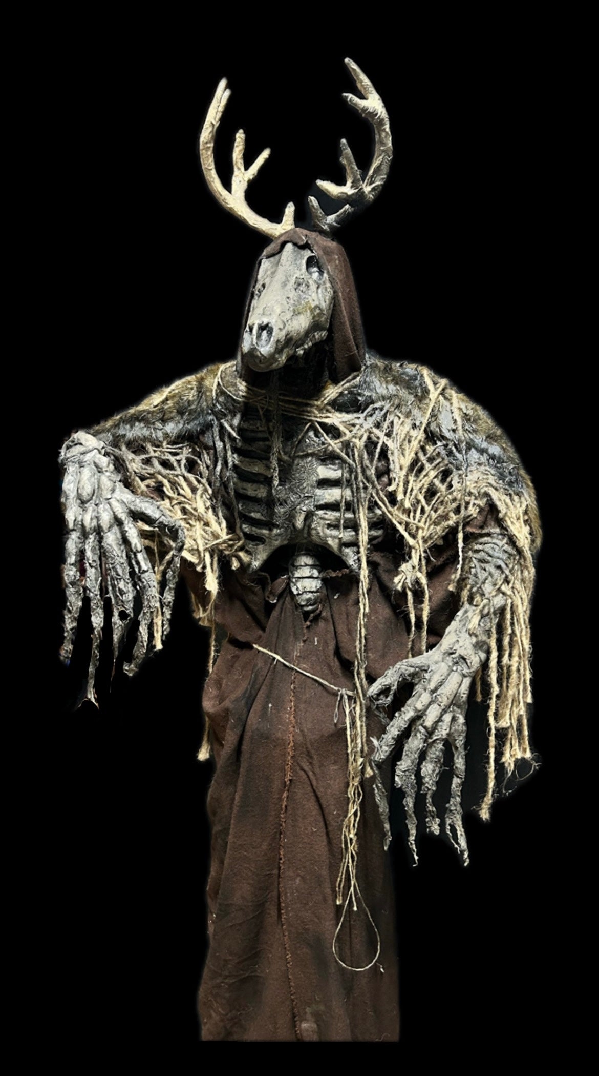 Standing Woods Walker - Economy Static